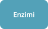 Enzimi